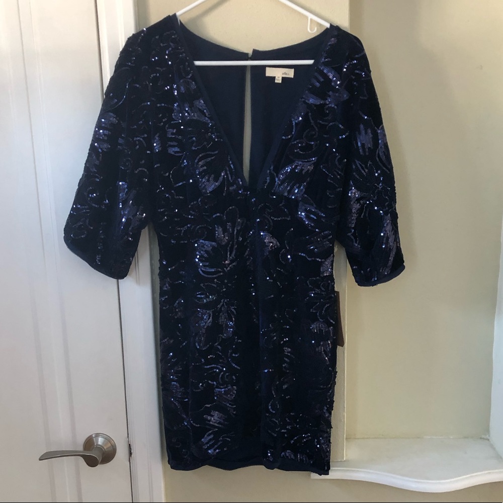 Blue Sequence and Velvet Dress